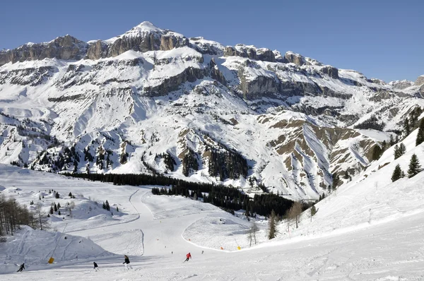 Arabba stromy stok narciarski, Dolomity — Zdjęcie stockowe