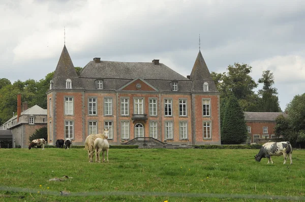 Country manor, ardennes — Stock Photo, Image