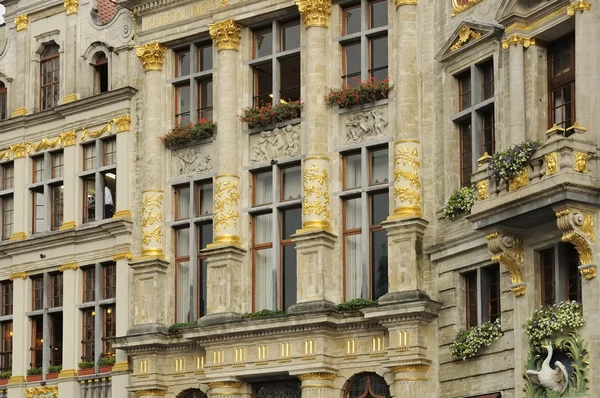 Grand place windows, brussels — Stock Photo, Image
