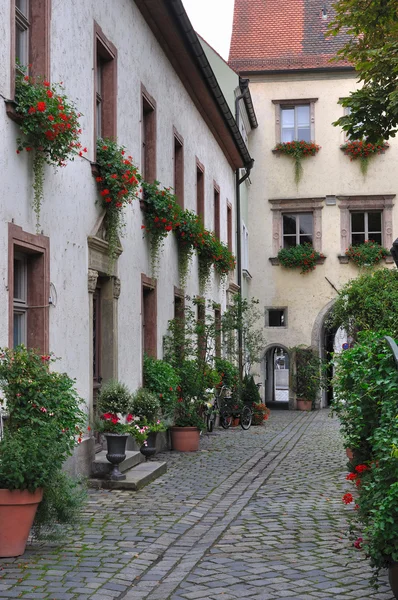 Bishofhof внутрішній дворик з квітами, Регенсбурга — стокове фото