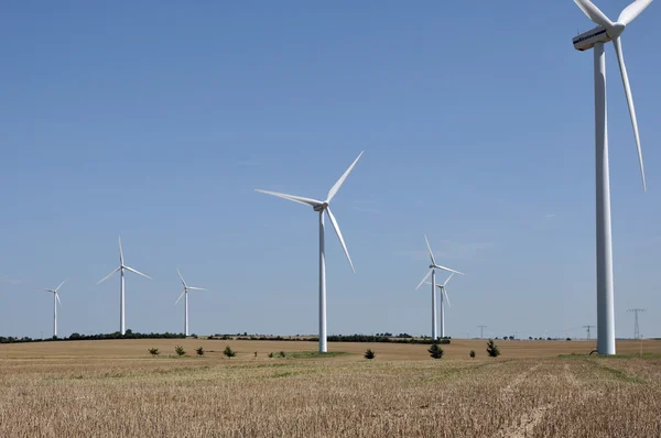 Wind plant in stubble, saxony — Stock Photo, Image