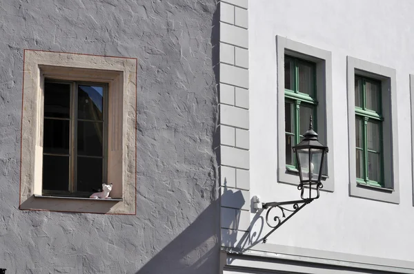 Gatto finto alla finestra, Meissen — Foto Stock