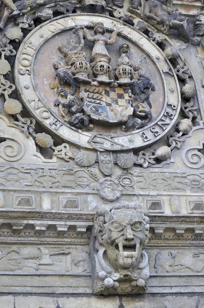 Medallion castle portal, tubingen — Stock Photo, Image