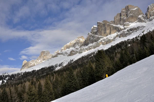 Lasu Rosengarten i klify, Dolomity — Zdjęcie stockowe