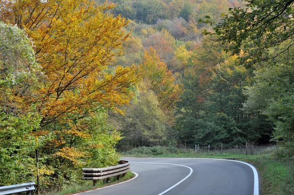 Cisa carretera en otoño —  Fotos de Stock