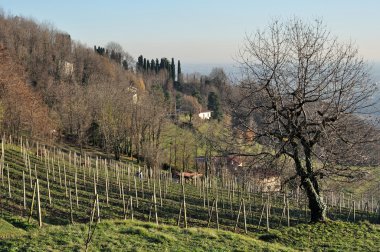 Hilly landscape, lombardy clipart