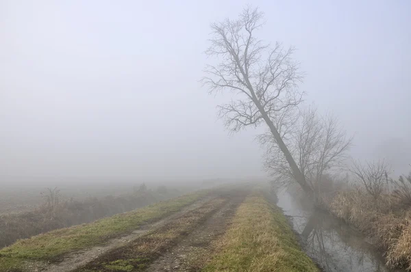 Hendek ve sisli bir ülke road — Stok fotoğraf