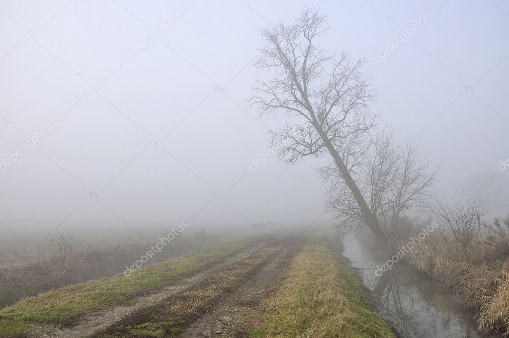 Ditch and road in foggy country
