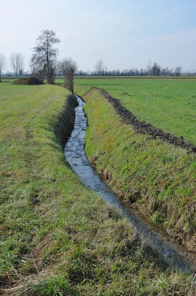 Stock image Small ditch in winter country