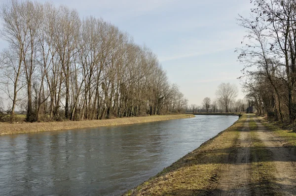 Canal de Muzza en campagne hivernale — Photo