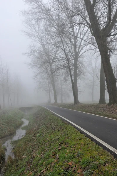 Hendek ve sis, Lombardiya bölgesinin en bilinen yolu — Stok fotoğraf