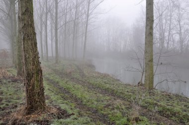 Kavak ve yolda muzza banka, lombardy