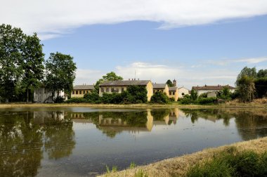 Small village among lomellina rice fields clipart