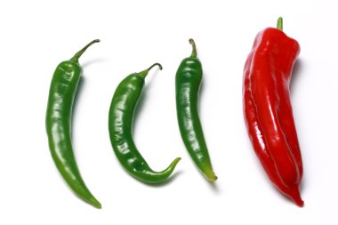 Chili peppers clipart