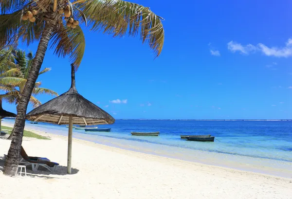 Praia tropical na ilha de Mauritius — Fotografia de Stock