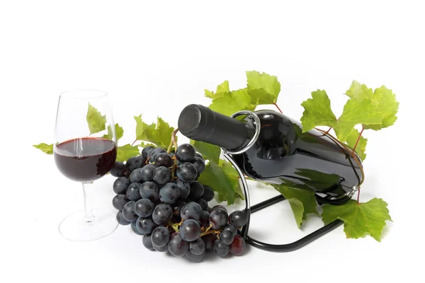 Botella de vino tinto y uva — Foto de Stock