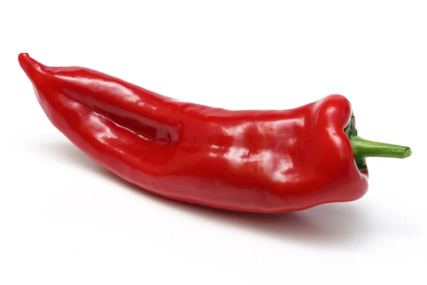 stock image Chili pepper