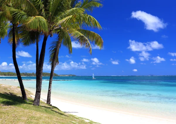Tropikalnej plaży na wyspie mauritius — Zdjęcie stockowe