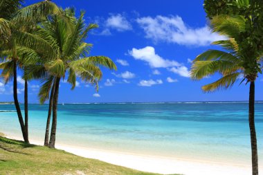 Mauritius: wonderful beach clipart