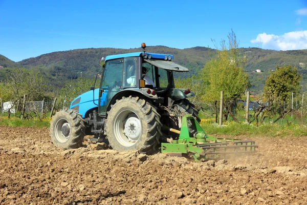 Zemědělství, chovu traktor — Stock fotografie