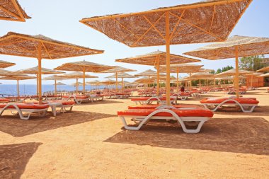 Red sand in Sharm El Sheik beach clipart