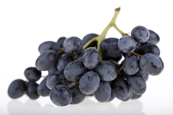 Fresh juicy grapes — Stock Photo, Image