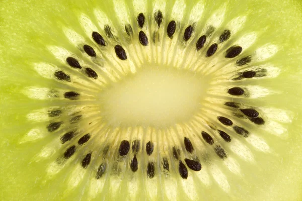 Juicy kiwi ectreme close-up — Stock Photo, Image