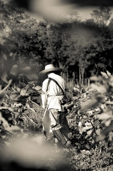 stock image Rural worker