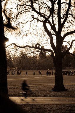 hyde Park'ta