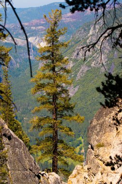 taft point bi