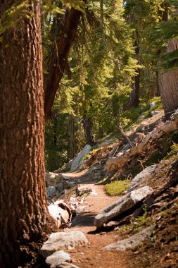 taft point bi