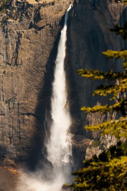 taft point bi