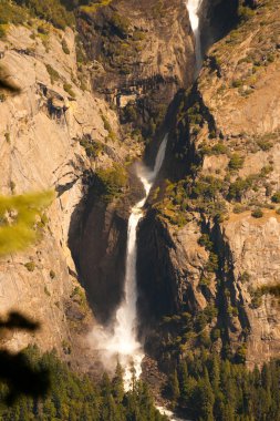 taft point bi