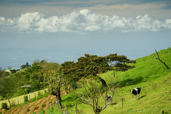 Стороні країни Коста-Ріка — стокове фото