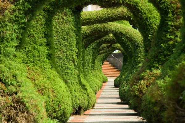 stock image Amazing Gardens