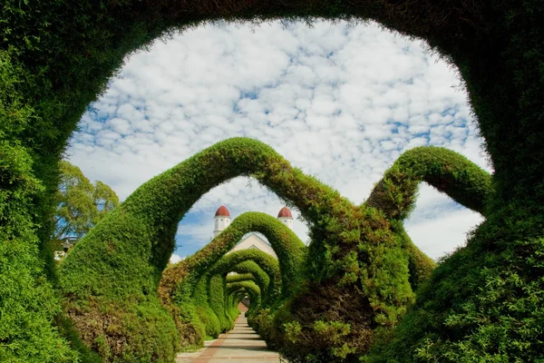 stock image Amazing Gardens