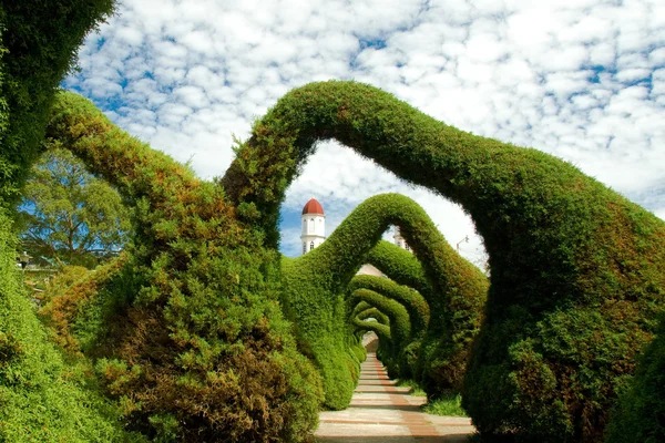 stock image Amazing Gardens