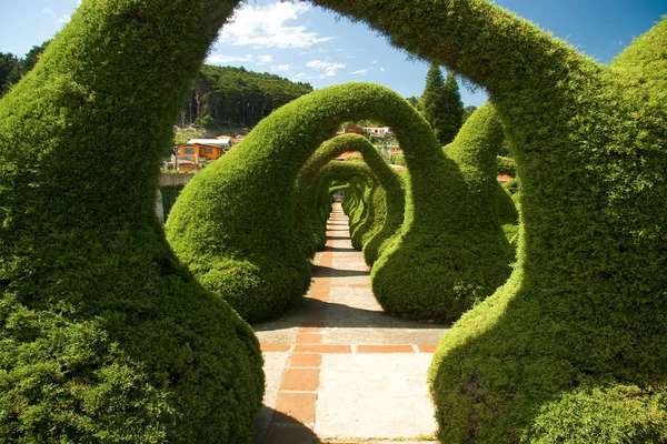 stock image Amazing Gardens