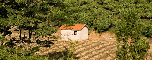 Klein landelijk huis — Stockfoto