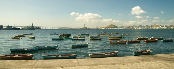 在里约热内卢捕鱼 — 图库照片