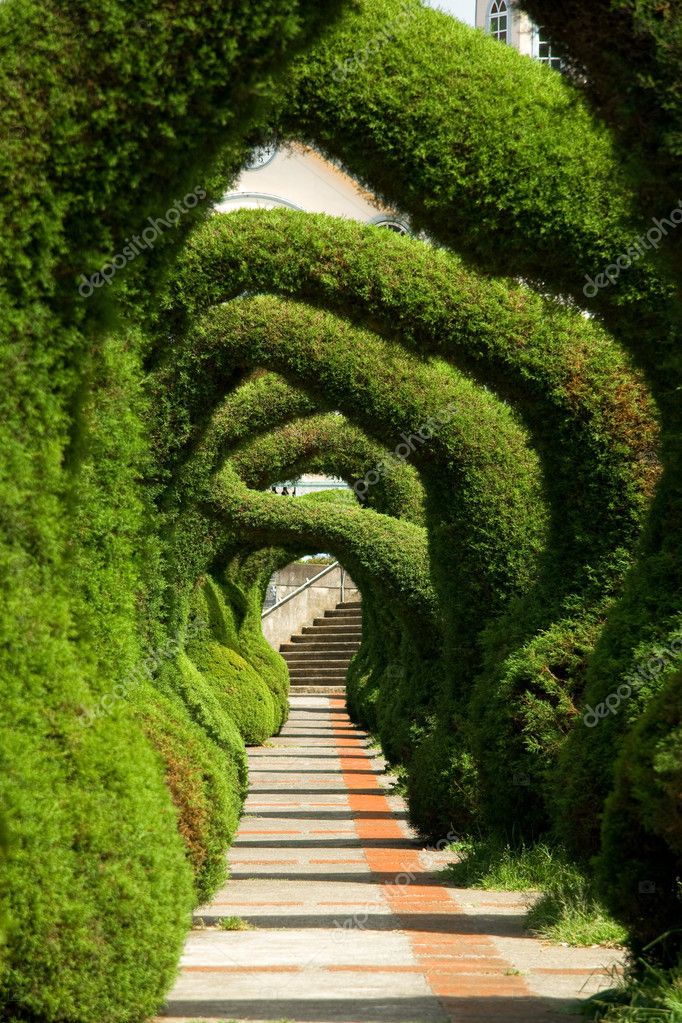 depositphotos_7544705-stock-photo-amazing-gardens.jpg