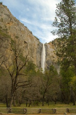 bridalveil sonbahar