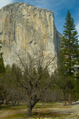 El Capitan