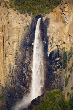 bridalveil sonbahar