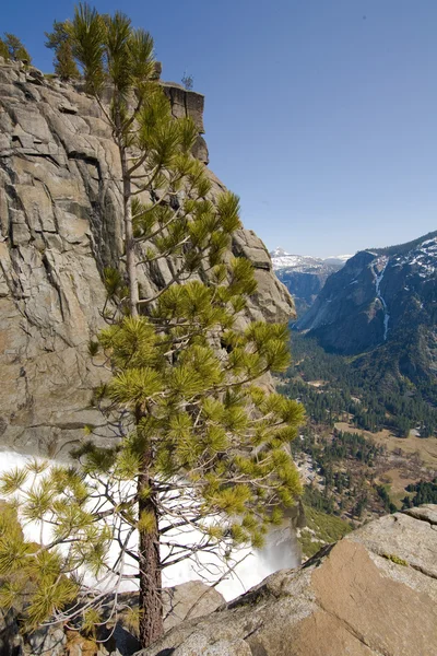 Chutes de Yosemite — Photo
