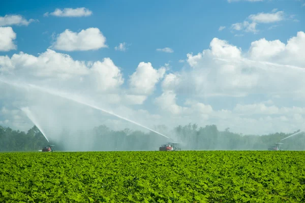 Stock image Agriculture