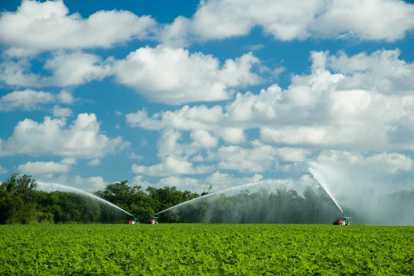 stock image Agriculture