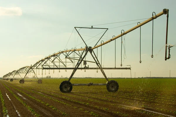 stock image Agriculture