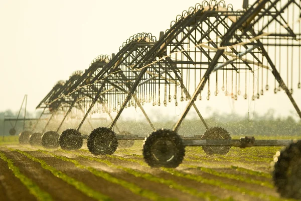 stock image Agriculture