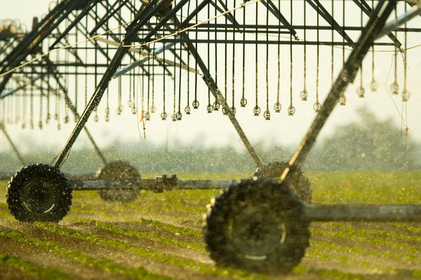 stock image Agriculture